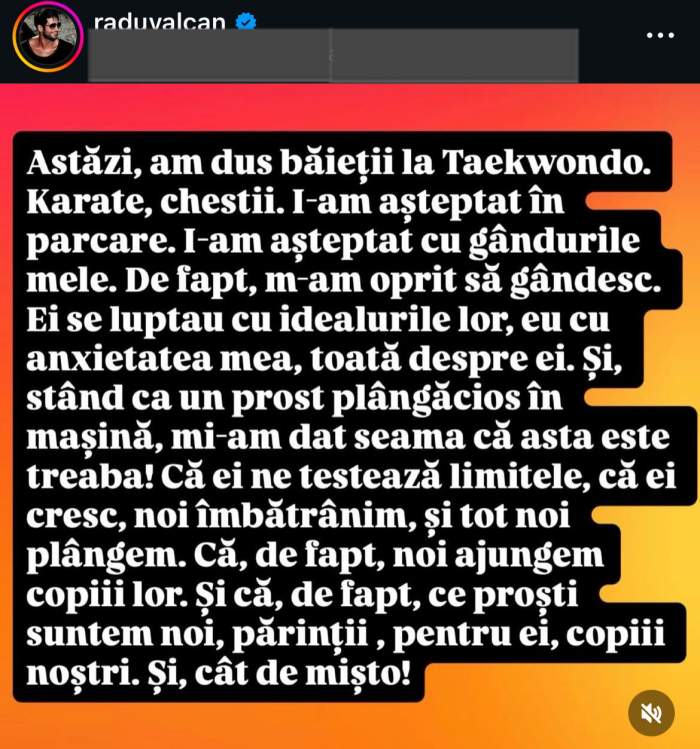 Mesajul postat de Radu Vâlcan
