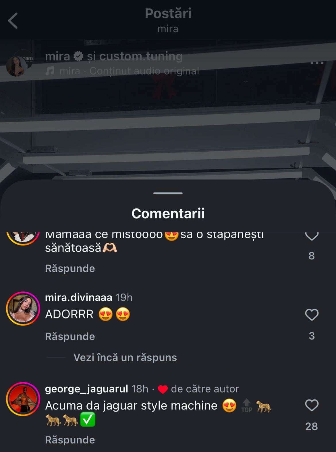 Comentariul lăsat de George Jaguarul