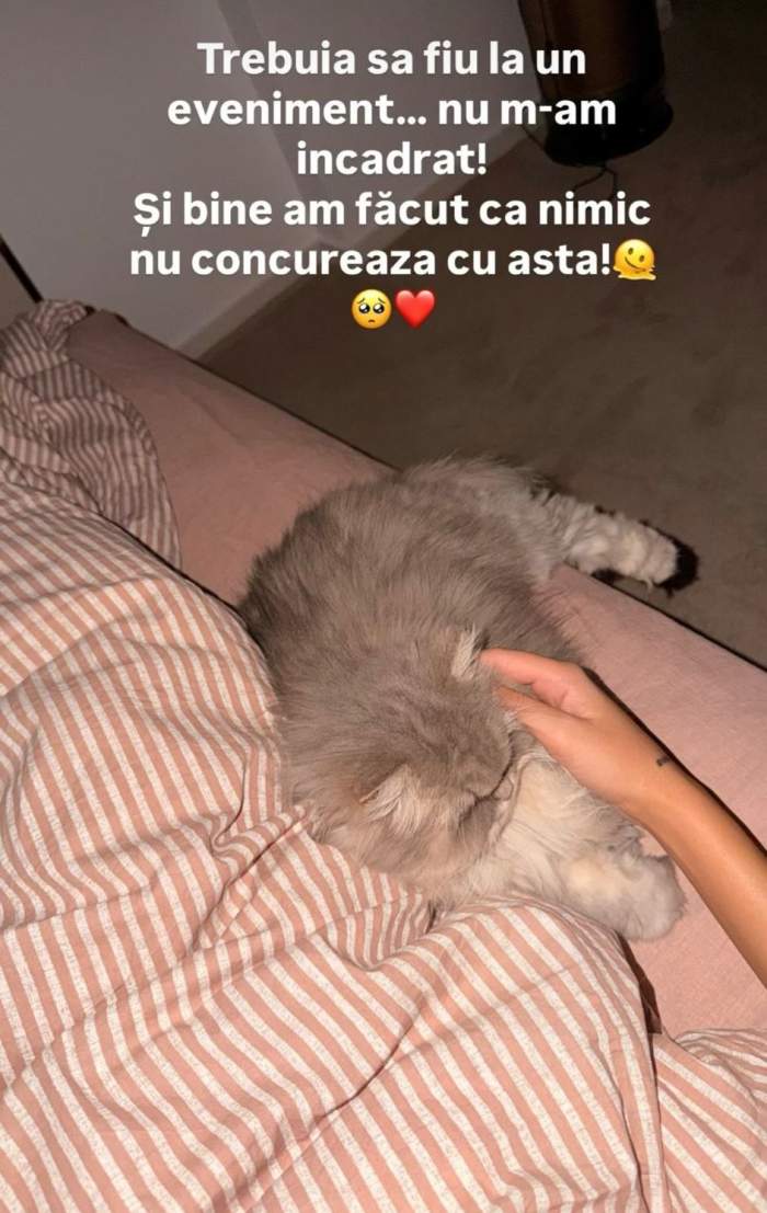 Pisica Ramonei Olaru