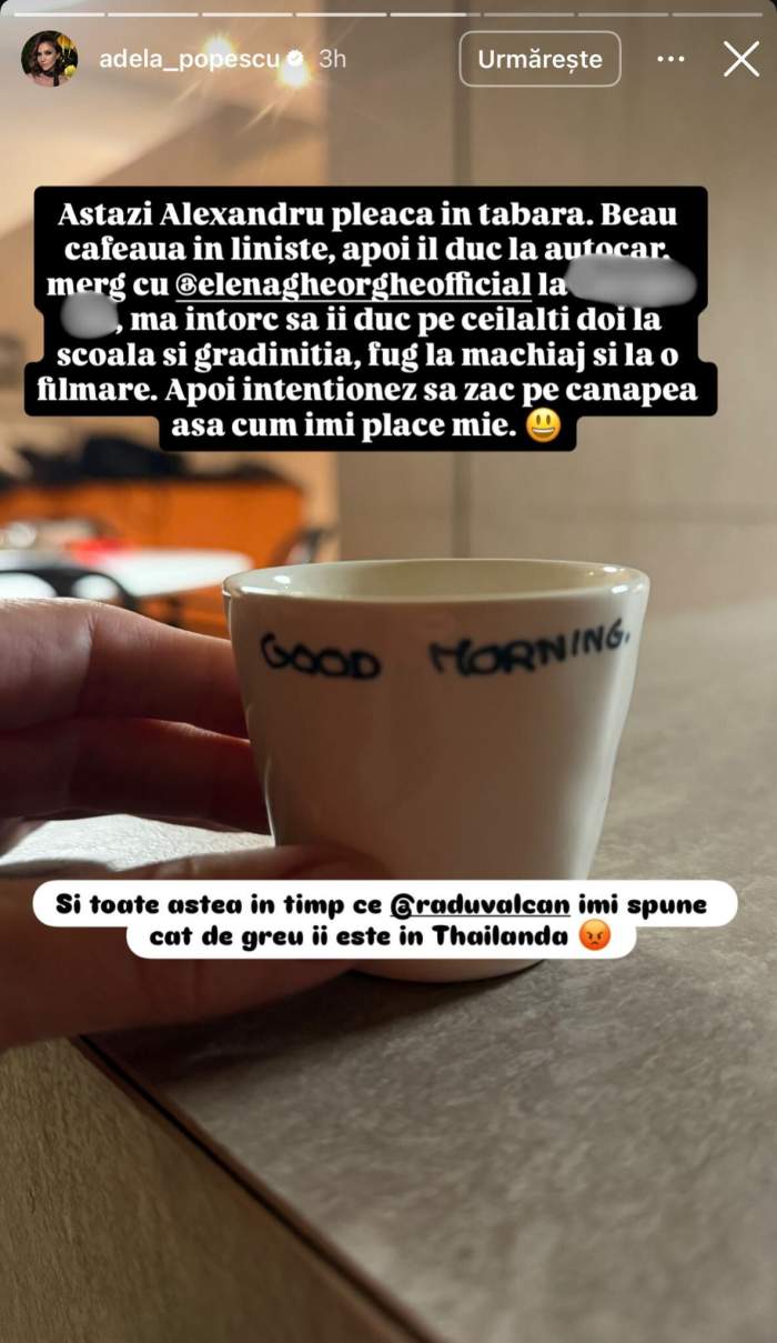 Mesajul Adelei Popescu