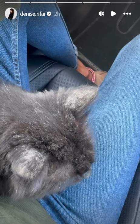 Cine este Ștefan, partenerul secret al lui Denise Rifai! Primele imagini