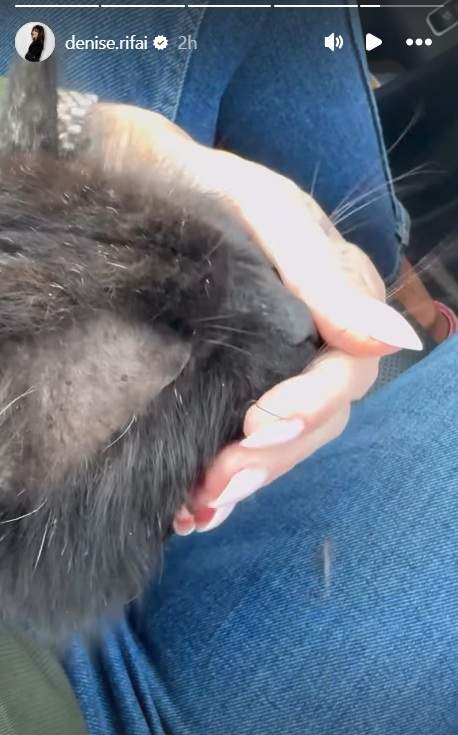 Cine este Ștefan, partenerul secret al lui Denise Rifai! Primele imagini