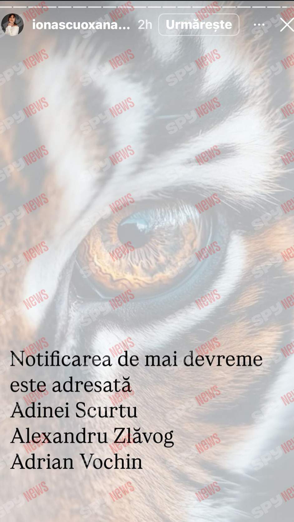 Oksana Ionașcu, atac furibund la adresa lui Alex Zlăvog: „Vei avea probleme cu erecția!”