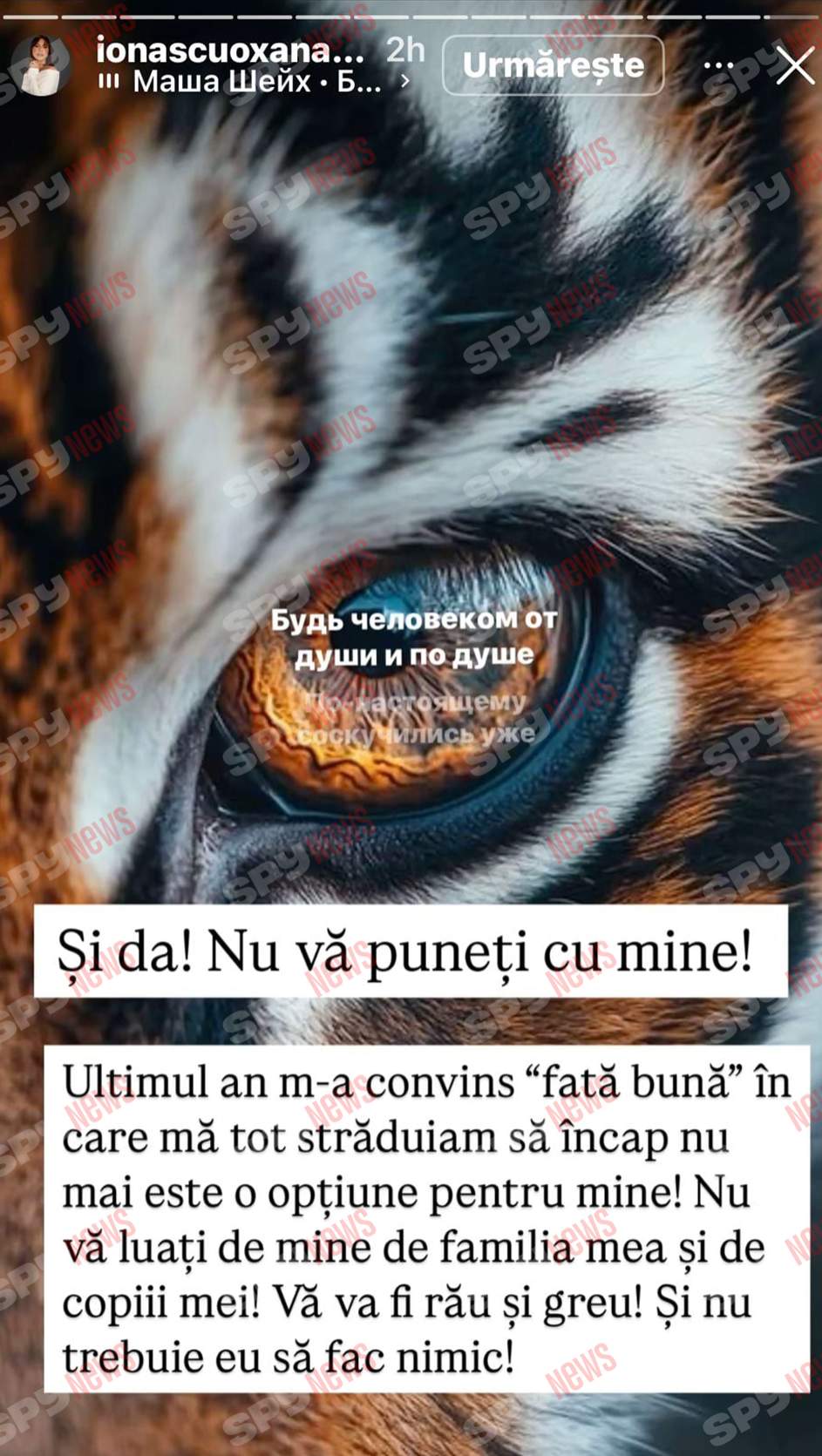 Oksana Ionașcu, atac furibund la adresa lui Alex Zlăvog: „Vei avea probleme cu erecția!”