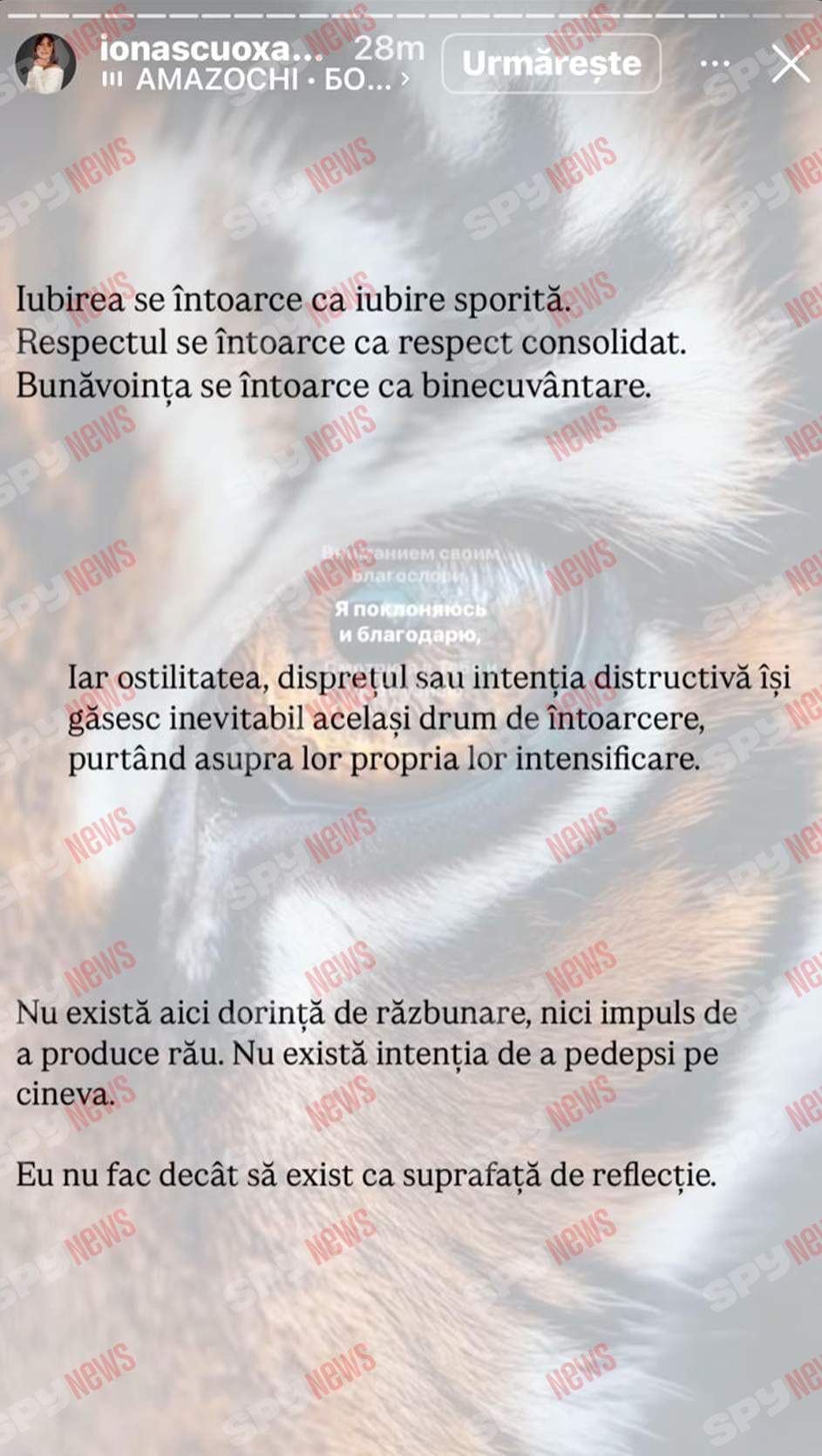 Oksana Ionașcu, atac furibund la adresa lui Alex Zlăvog: „Vei avea probleme cu erecția!”