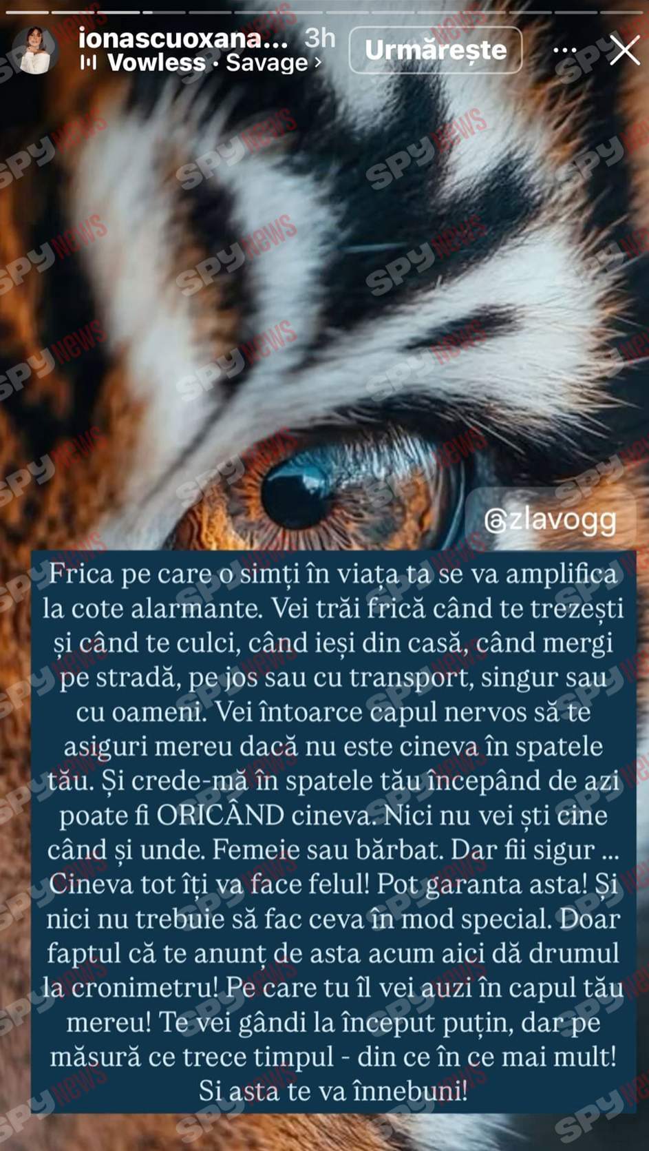 Oksana Ionașcu, atac furibund la adresa lui Alex Zlăvog: „Vei avea probleme cu erecția!”