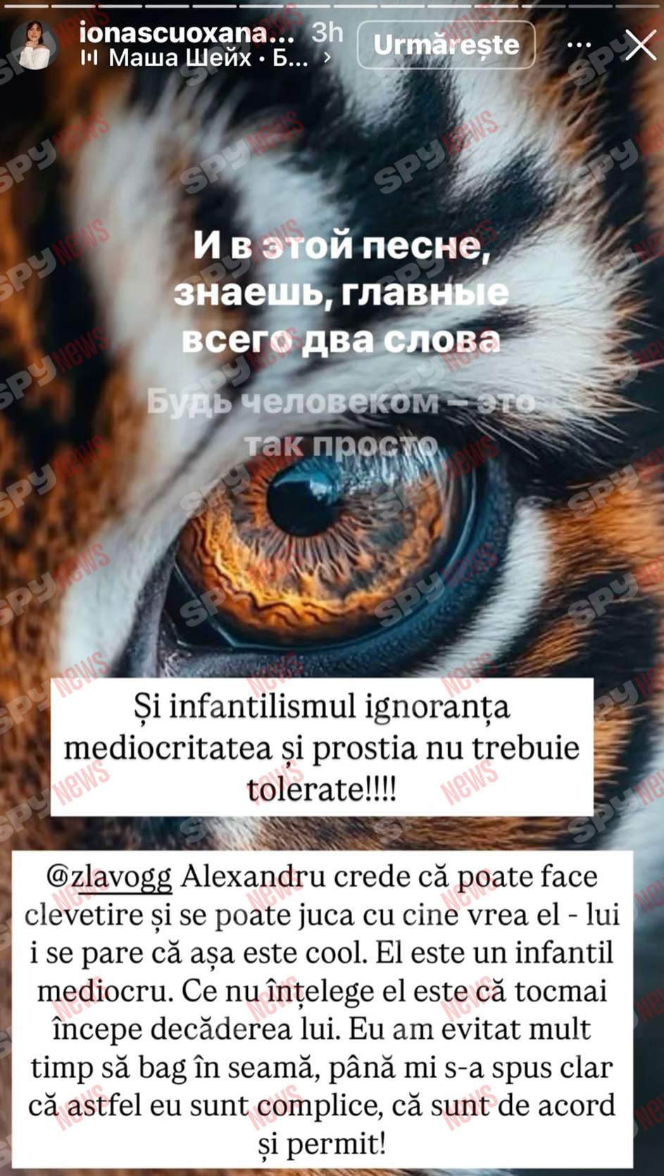 Oksana Ionașcu, atac furibund la adresa lui Alex Zlăvog: „Vei avea probleme cu erecția!”