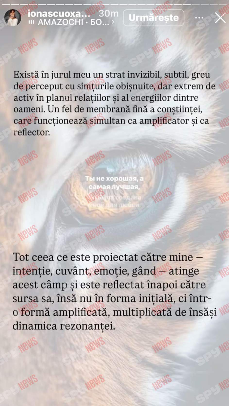 Oksana Ionașcu, atac furibund la adresa lui Alex Zlăvog: „Vei avea probleme cu erecția!”