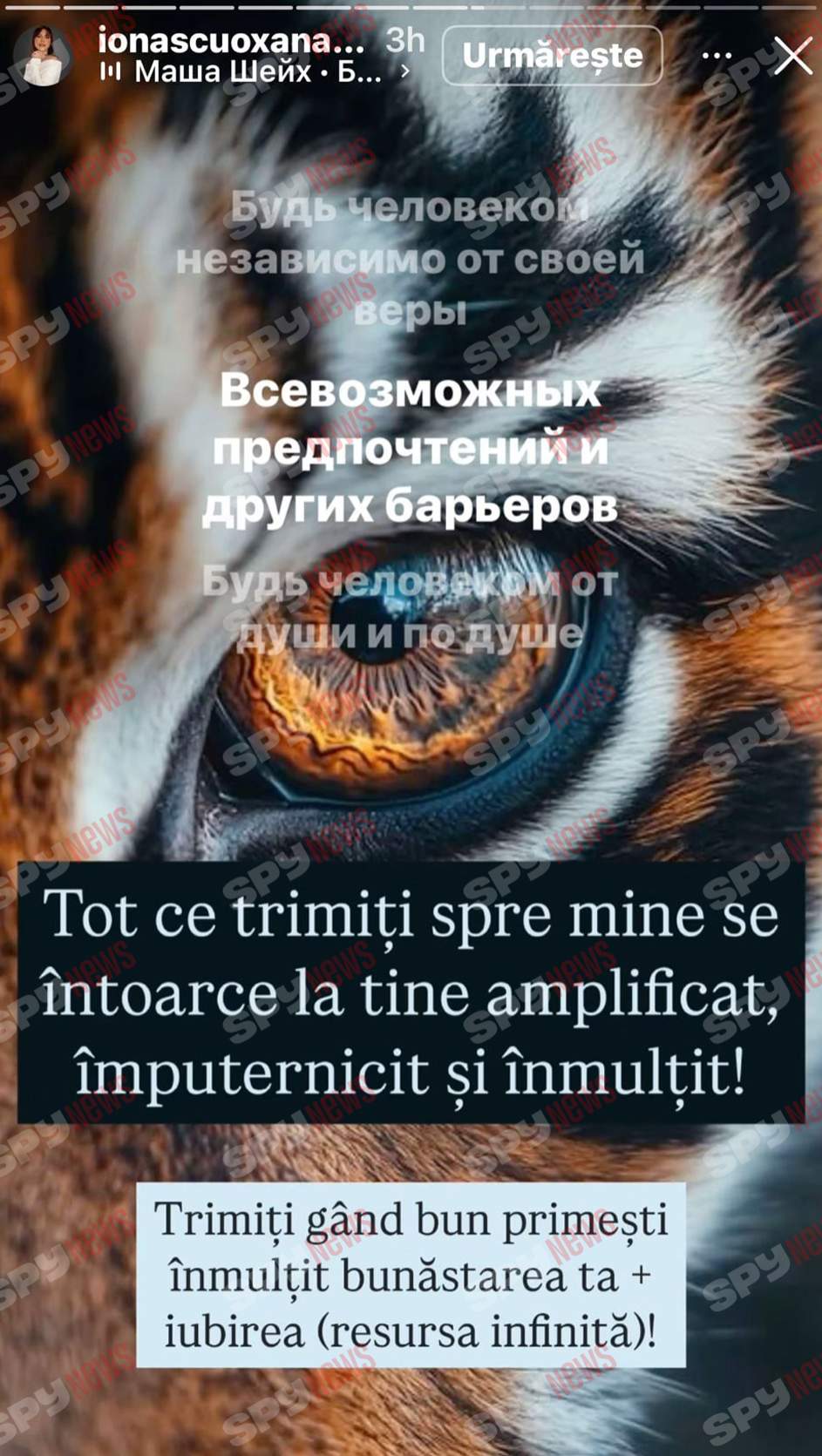 Oksana Ionașcu, atac furibund la adresa lui Alex Zlăvog: „Vei avea probleme cu erecția!”