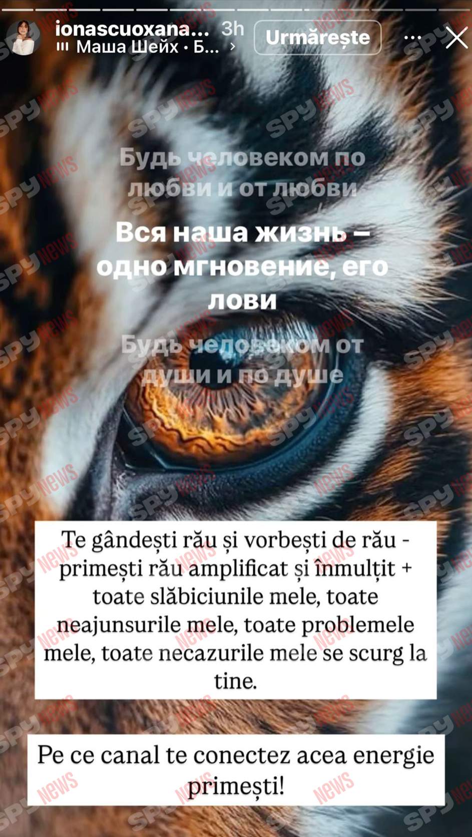 Oksana Ionașcu, atac furibund la adresa lui Alex Zlăvog: „Vei avea probleme cu erecția!”