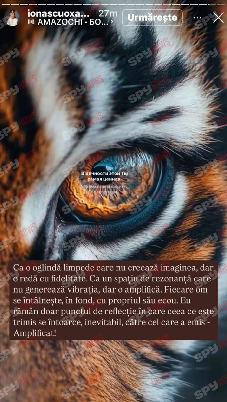 Oksana Ionașcu, atac furibund la adresa lui Alex Zlăvog: „Vei avea probleme cu erecția!”