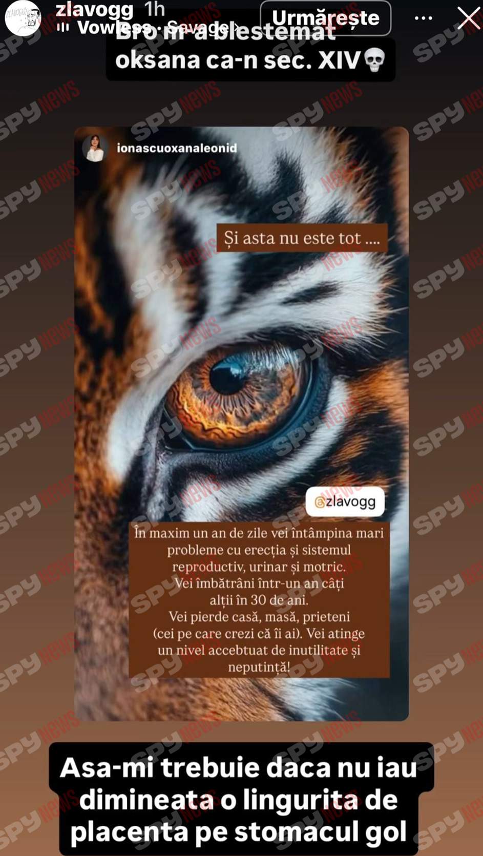 Oksana Ionașcu, atac furibund la adresa lui Alex Zlăvog: „Vei avea probleme cu erecția!”