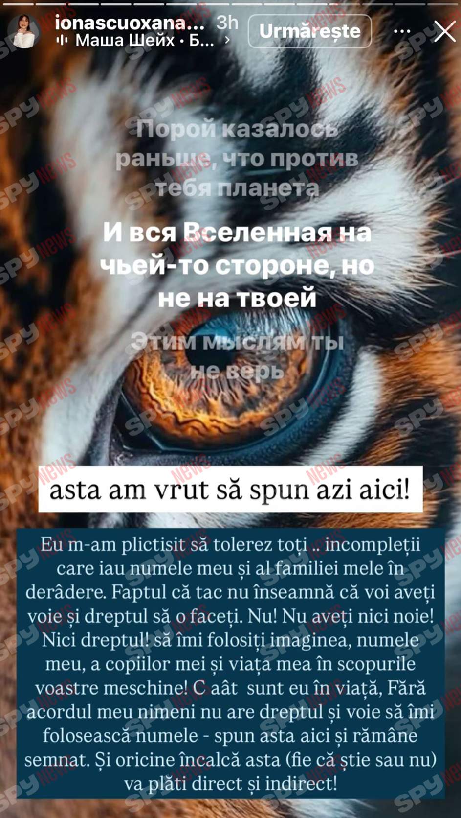 Oksana Ionașcu, atac furibund la adresa lui Alex Zlăvog: „Vei avea probleme cu erecția!”