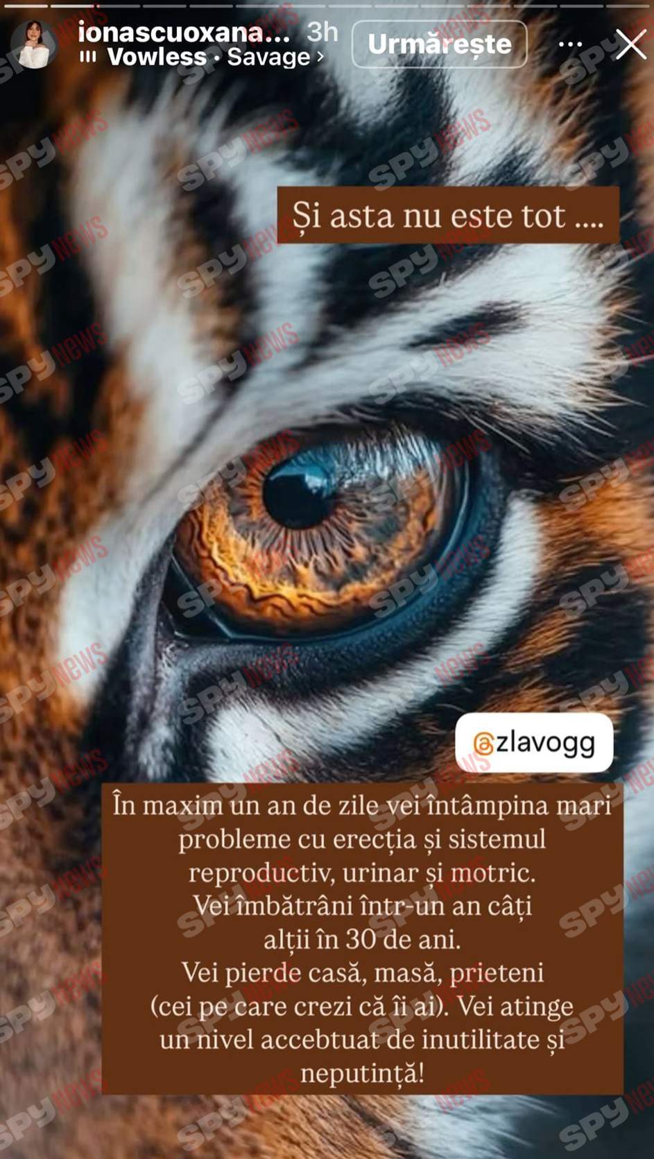 Oksana Ionașcu, atac furibund la adresa lui Alex Zlăvog: „Vei avea probleme cu erecția!”
