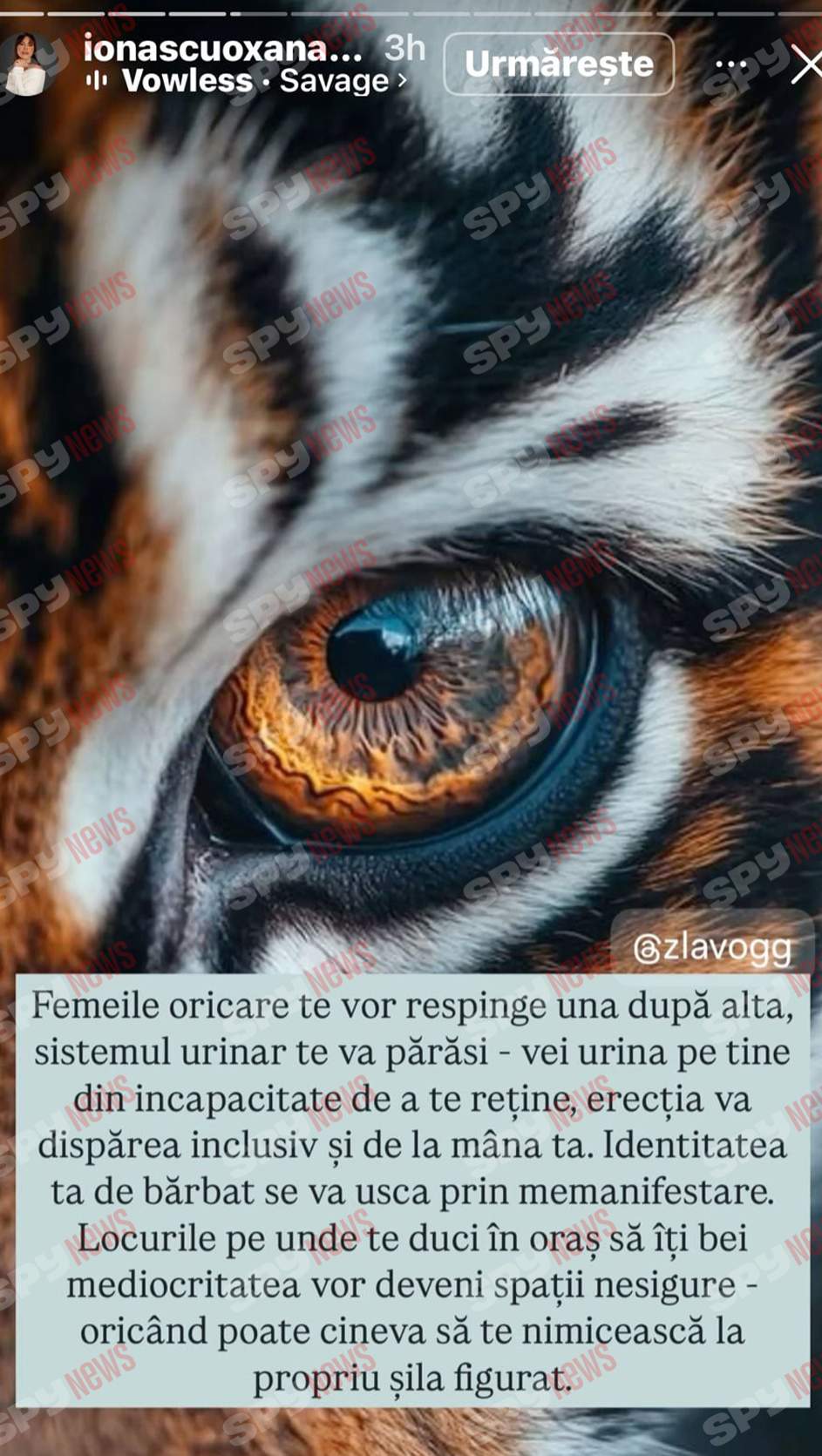 Oksana Ionașcu, atac furibund la adresa lui Alex Zlăvog: „Vei avea probleme cu erecția!”