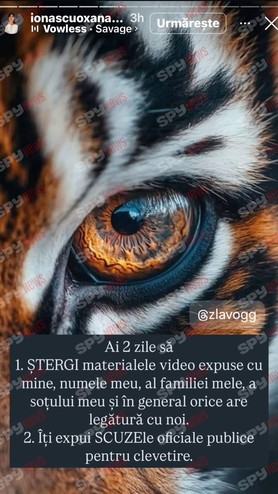 Oksana Ionașcu, atac furibund la adresa lui Alex Zlăvog: „Vei avea probleme cu erecția!”