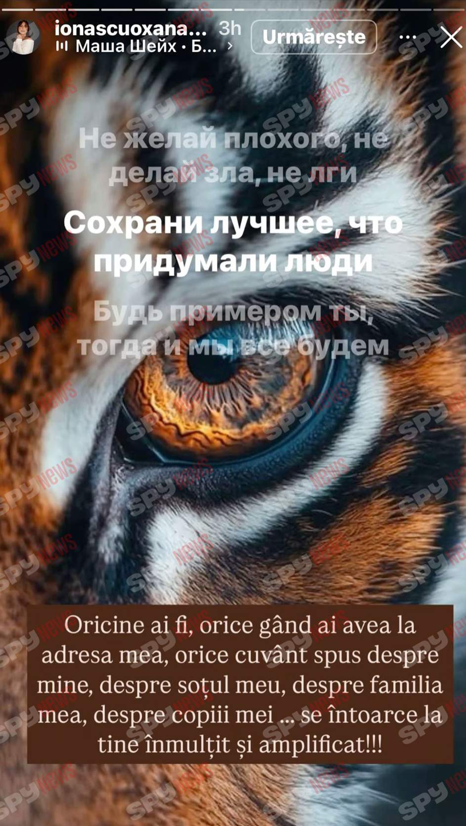 Oksana Ionașcu, atac furibund la adresa lui Alex Zlăvog: „Vei avea probleme cu erecția!”