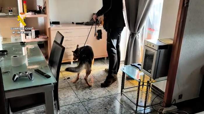 Un român de 19 ani a fost răpit și torturat de traficanți în Spania! Ce s-a întâmplat cu el