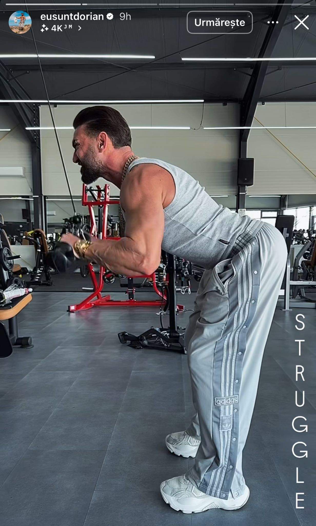 Dorian Popa, la sală