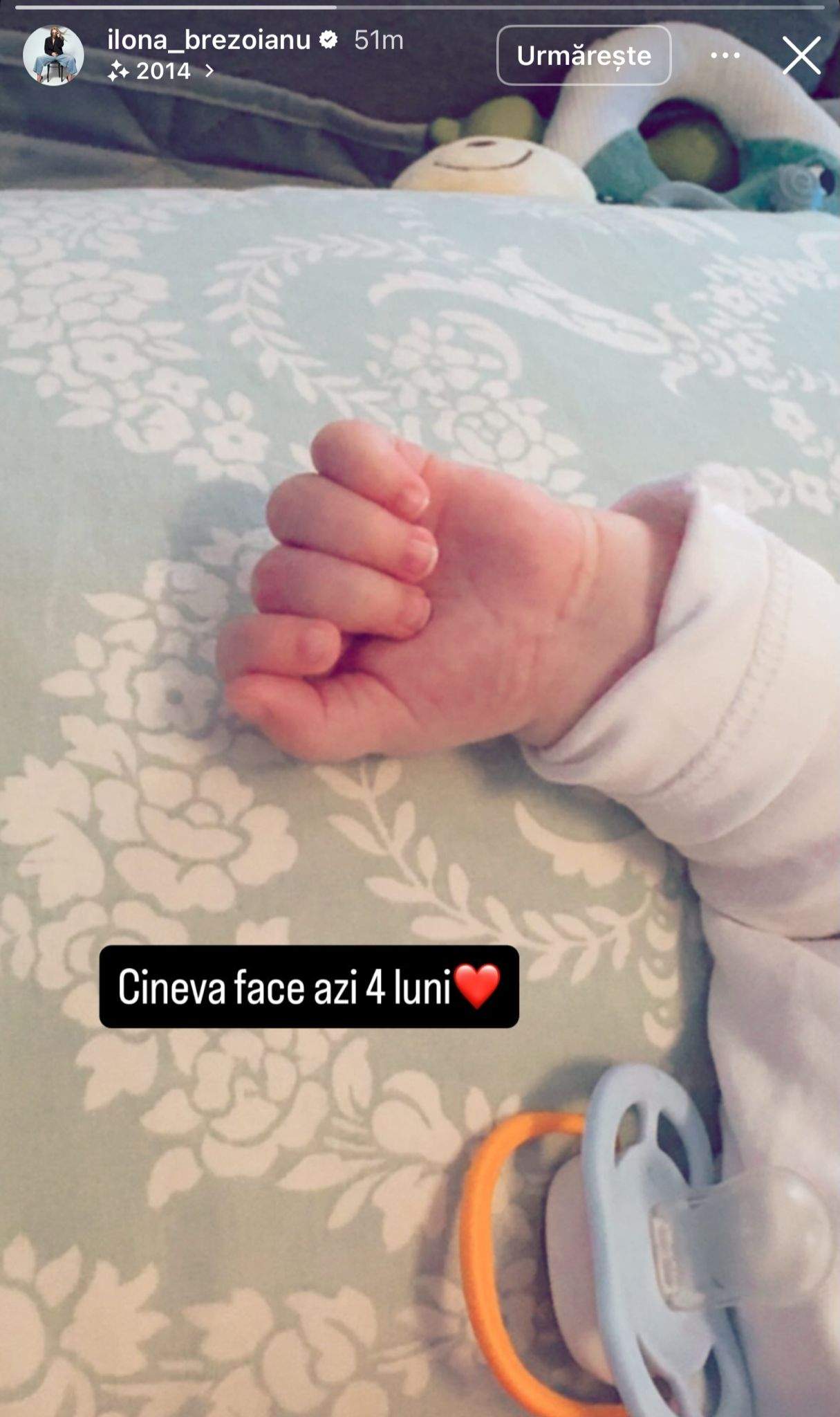 Mâna fiului Ilonei Brezoianu