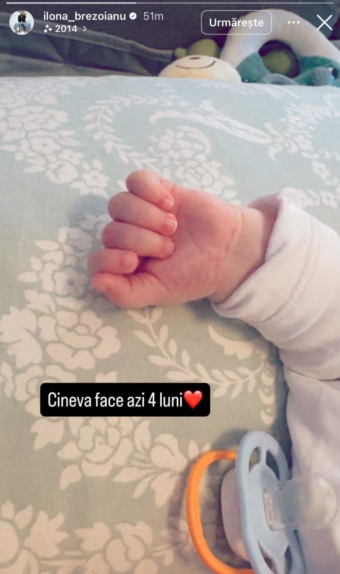 Mâna fiului Ilonei Brezoianu