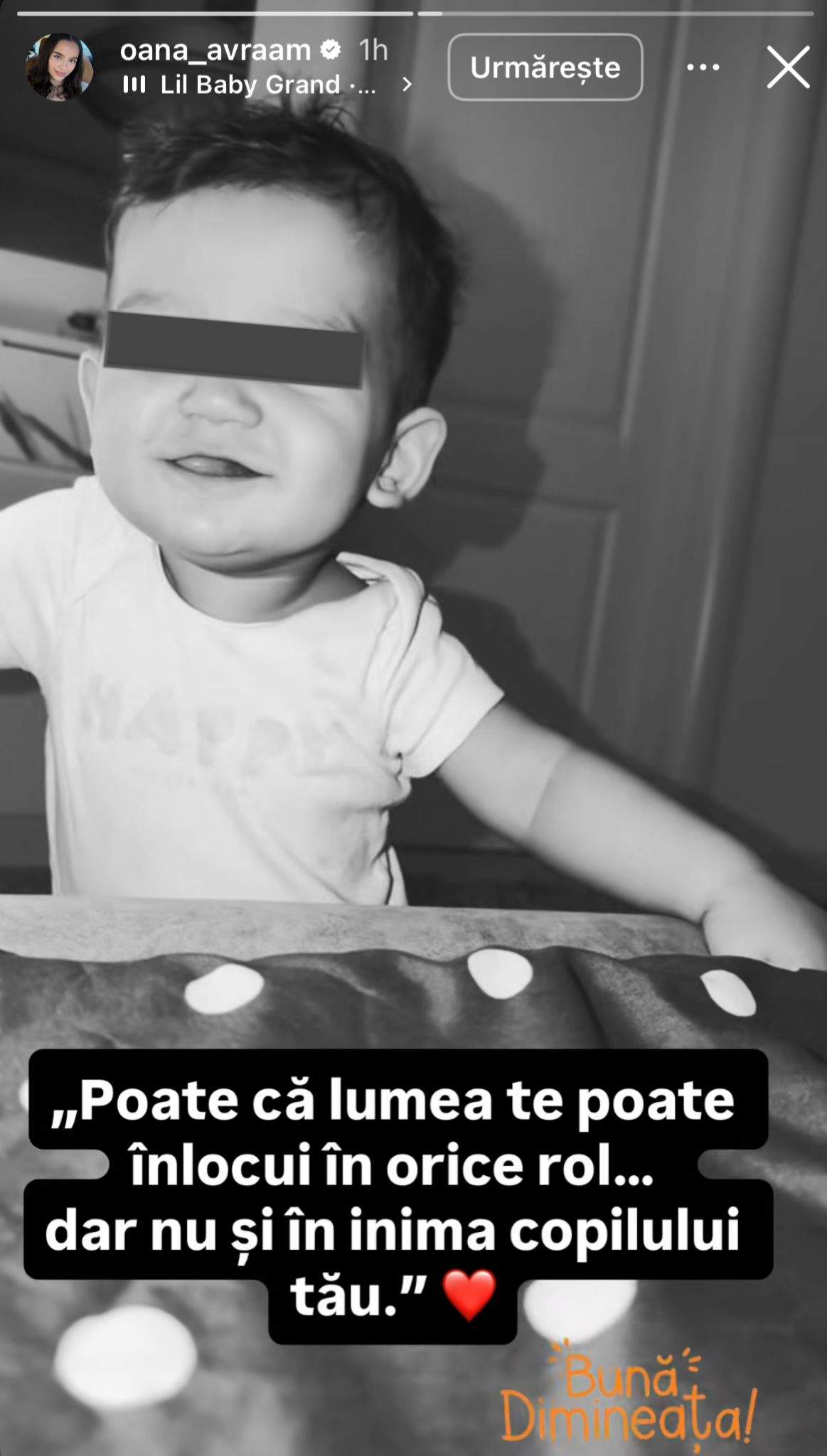 Mesajul Oanei Ciocan