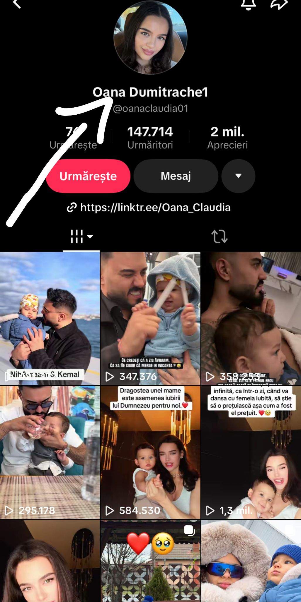 Profilul Oanei Ciocan de TikTok