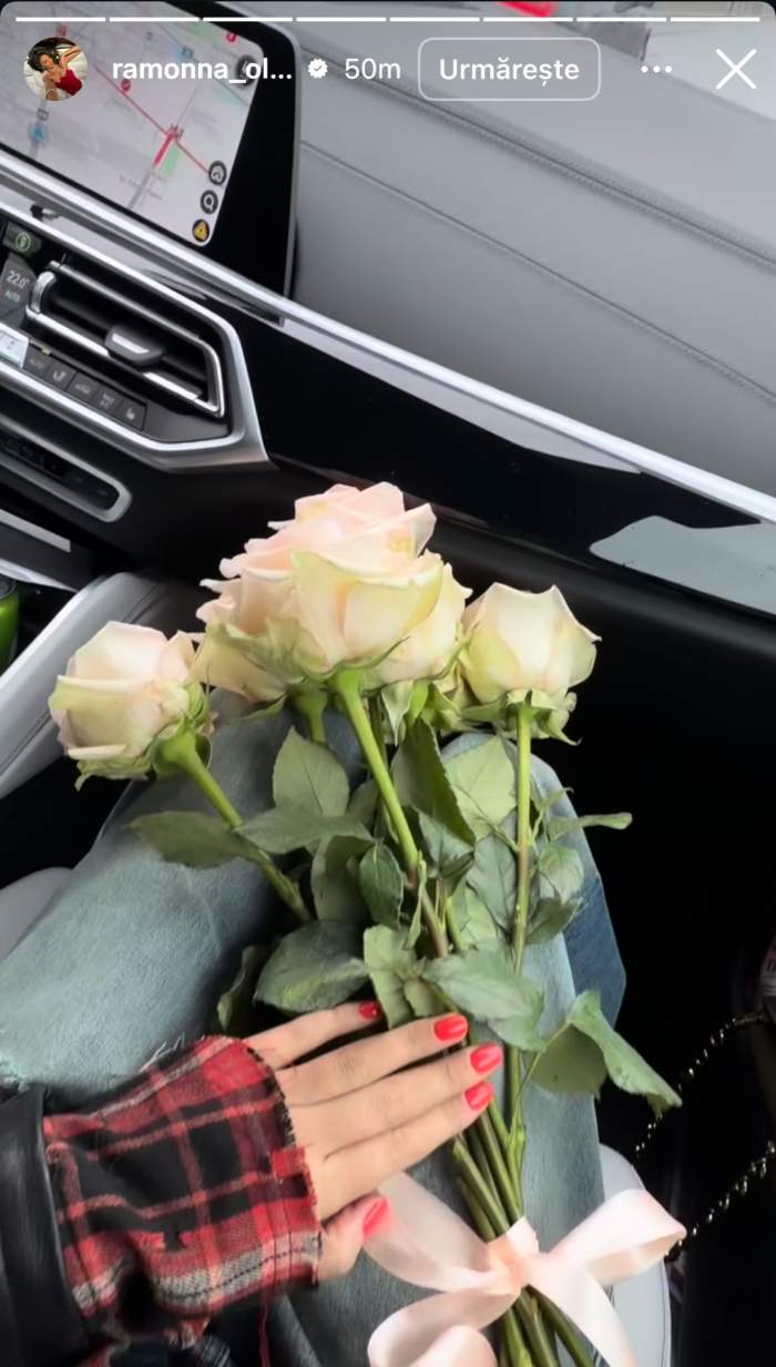 Florile Ramonei Olaru