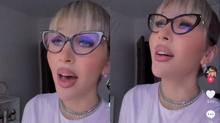 Colaj foto cu Dana Roba