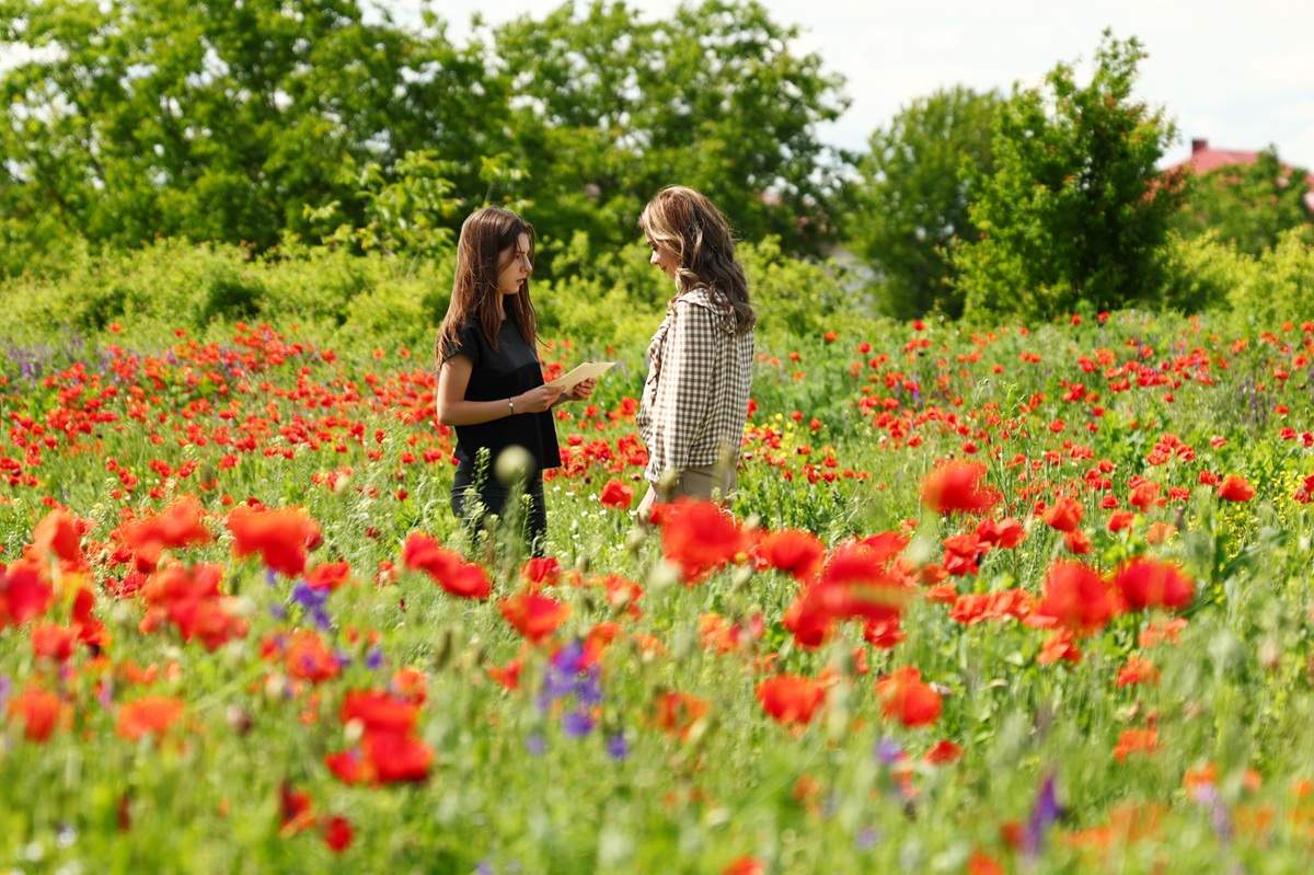 Serialul Iubire cu parfum de lavandă lansează spin-off-ul Destine cu parfum de lavandă, din 16 aprilie, în fiecare joi, de la 20.30, la Antena 1