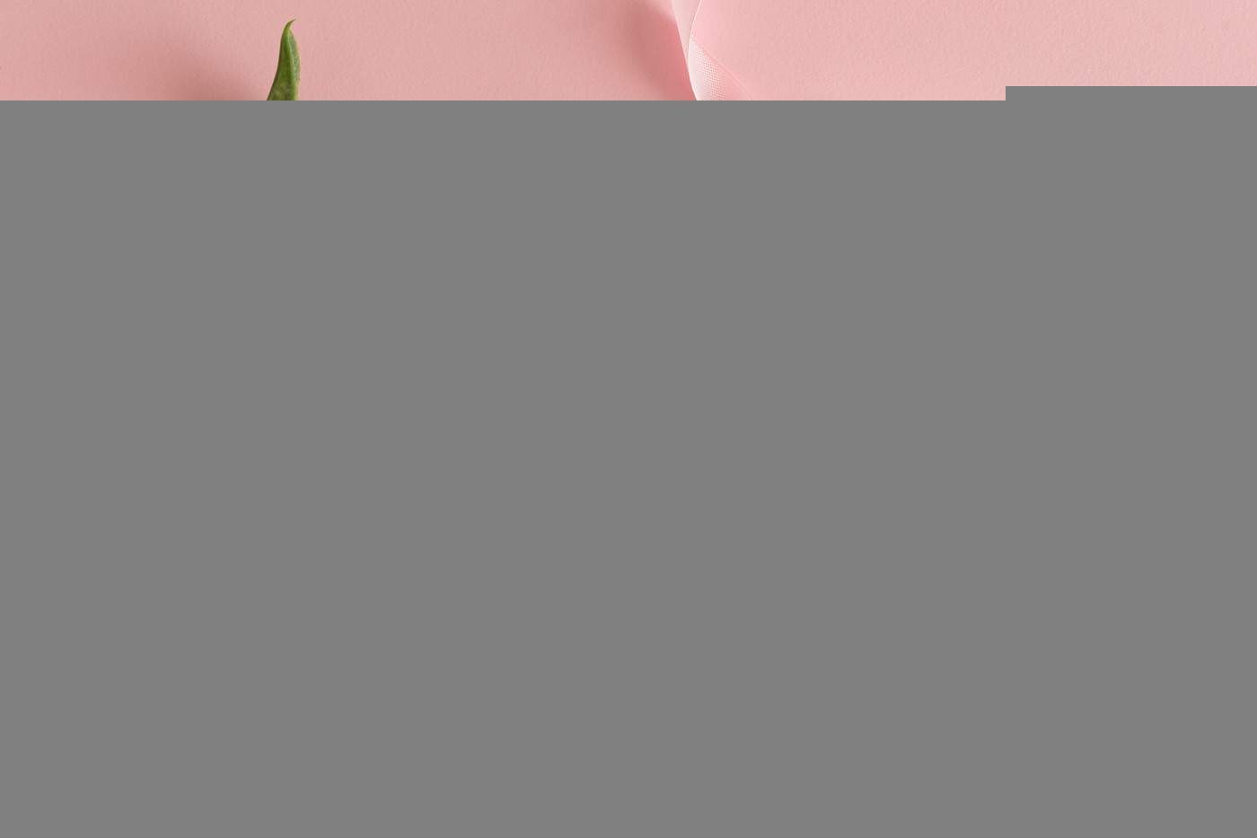 Cele mai frumoase felicitări pentru femei de 8 Martie 2026