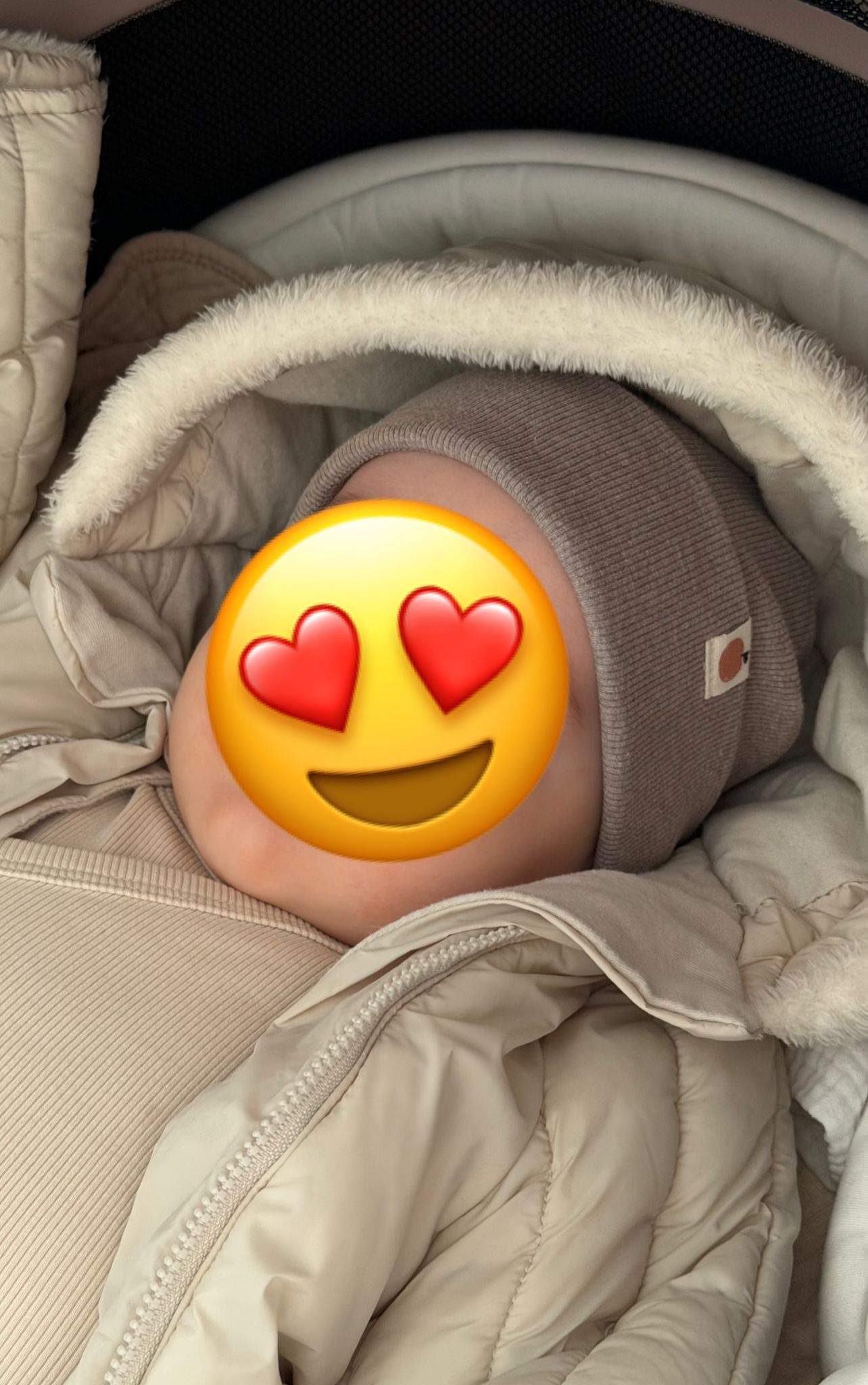 Fiul lui Carmen Grebenișan