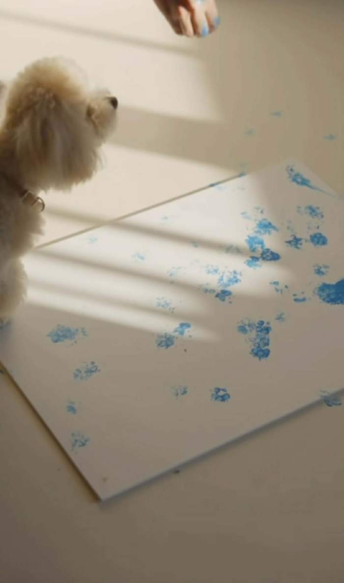 câinele Mariei Vigheciu