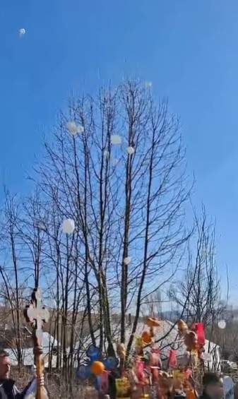 andreea anita inmormantare