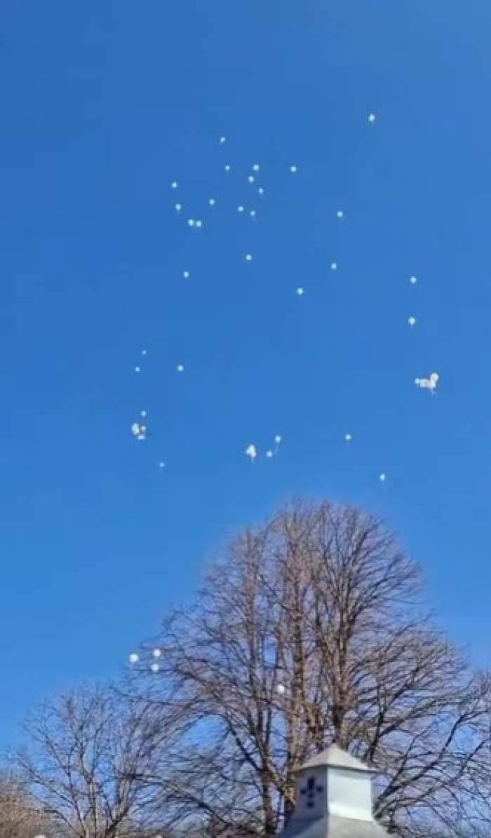 andreea anita inmormantare