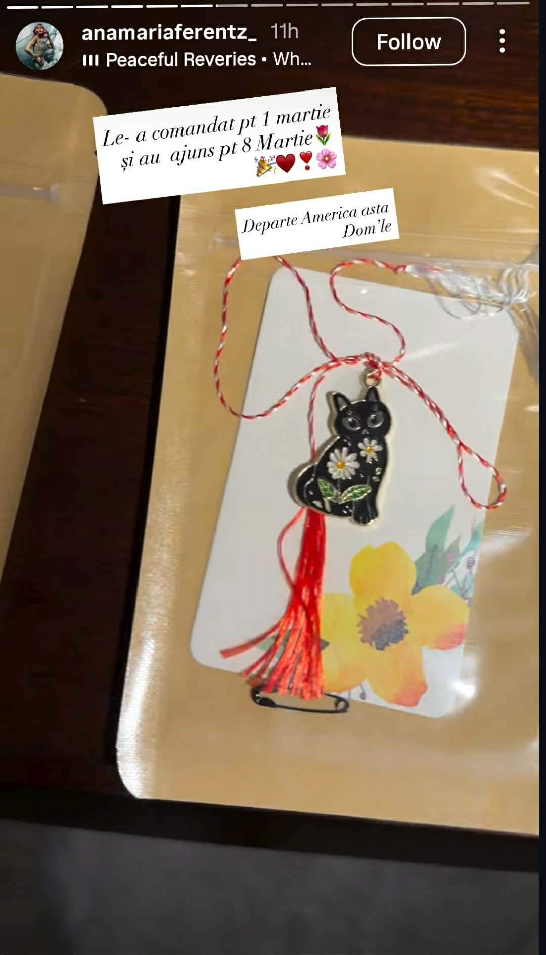 Cum o răsfață iubitul milionar pe Anamaria Ferentz! Ce surpriză i-a făcut de 8 Martie