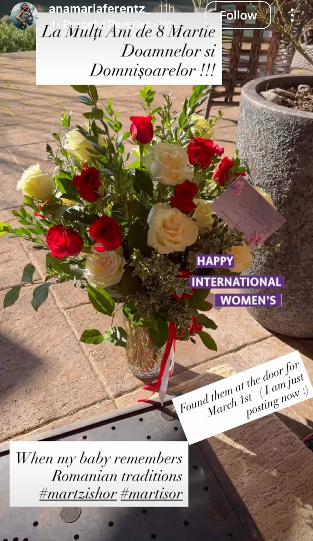 Cum o răsfață iubitul milionar pe Anamaria Ferentz! Ce surpriză i-a făcut de 8 Martie