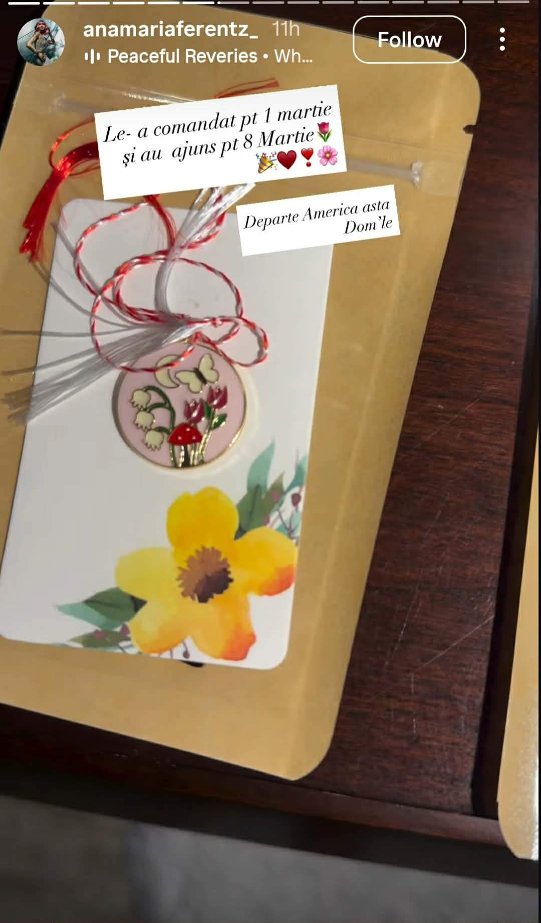 Cum o răsfață iubitul milionar pe Anamaria Ferentz! Ce surpriză i-a făcut de 8 Martie