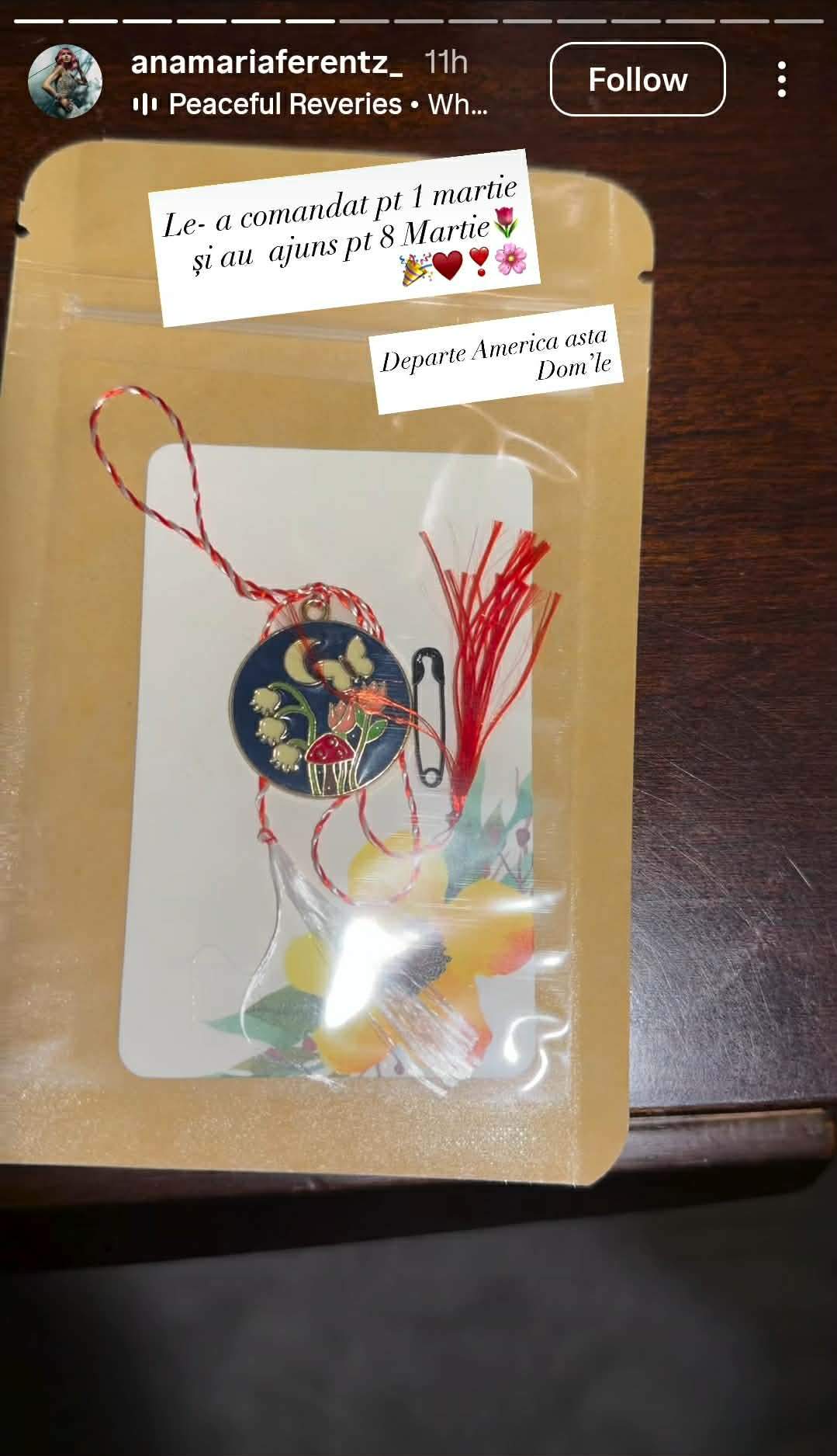 Cum o răsfață iubitul milionar pe Anamaria Ferentz! Ce surpriză i-a făcut de 8 Martie