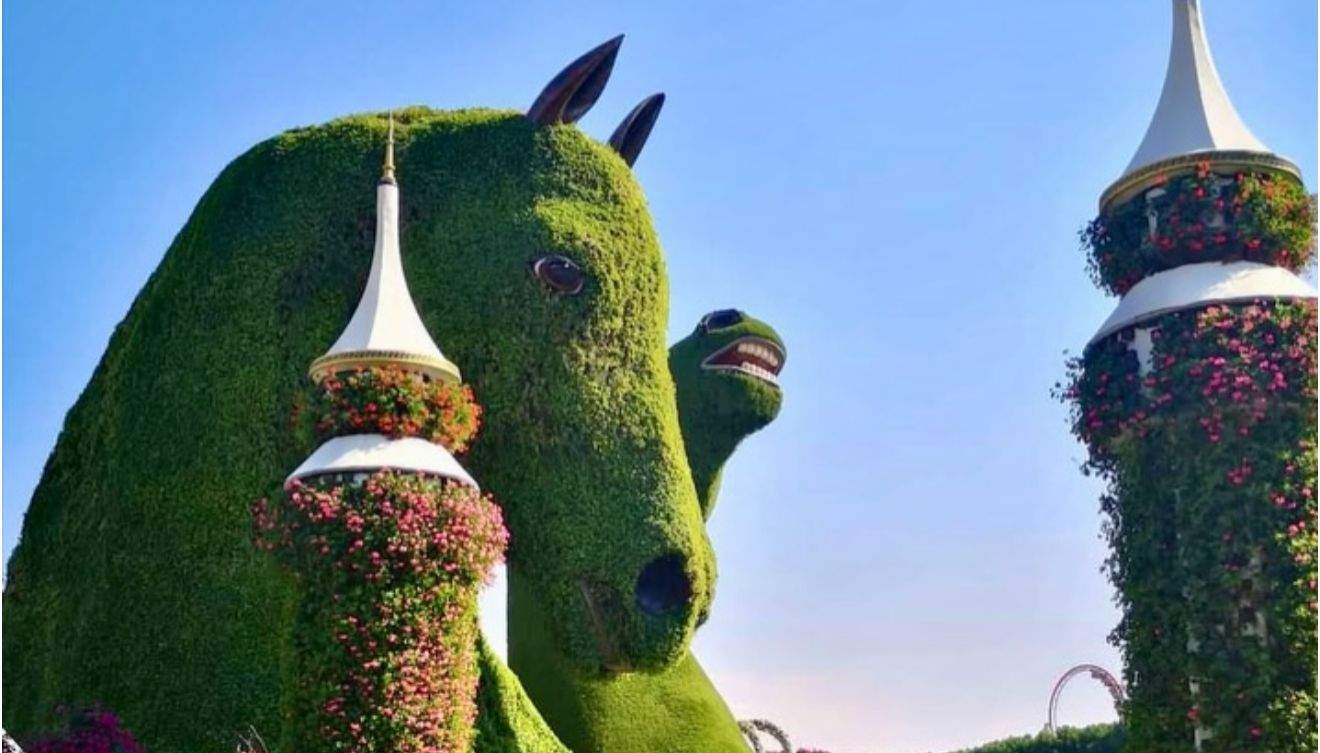 Dubai Miracole Garden