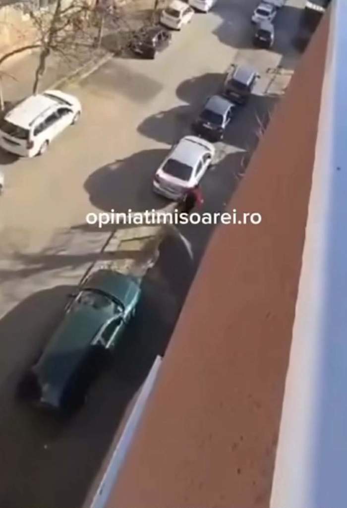 crimă în Timișoara