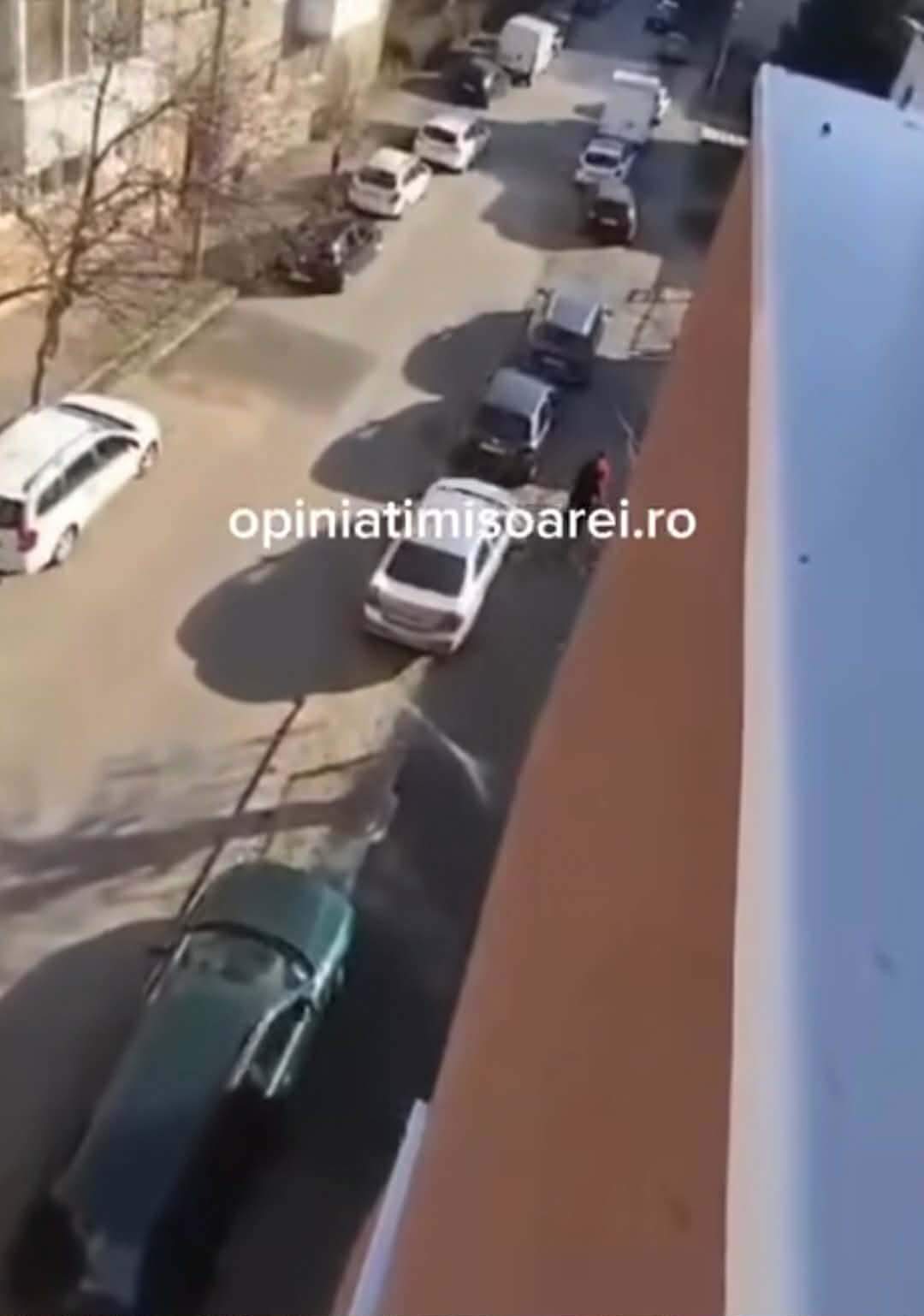 crimă în Timișoara