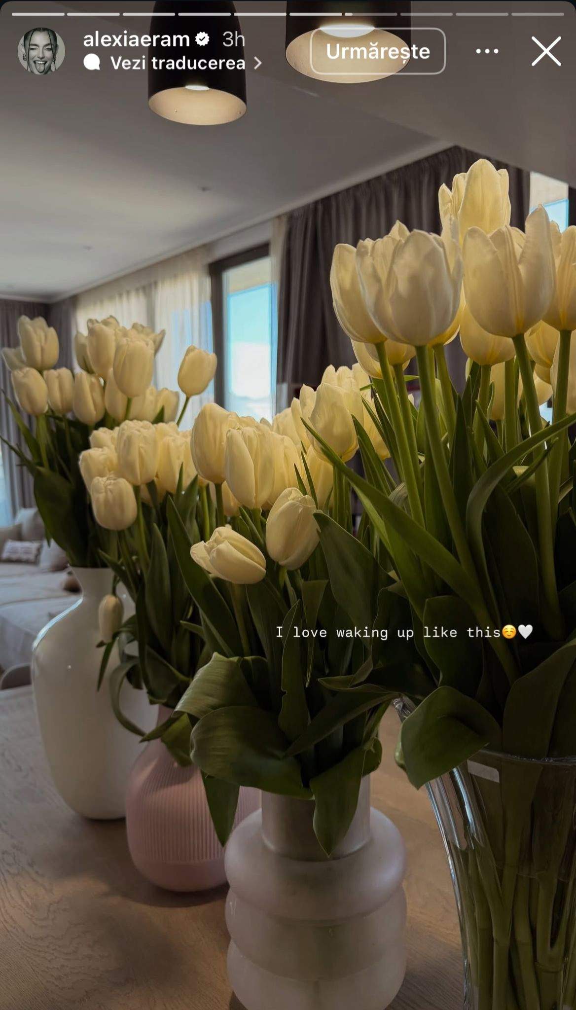 Florile Alexiei Eram