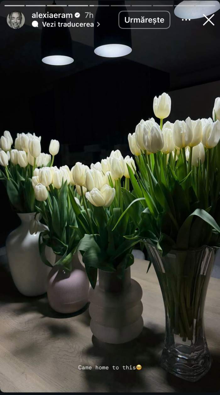 Lalelele Alexiei Eram