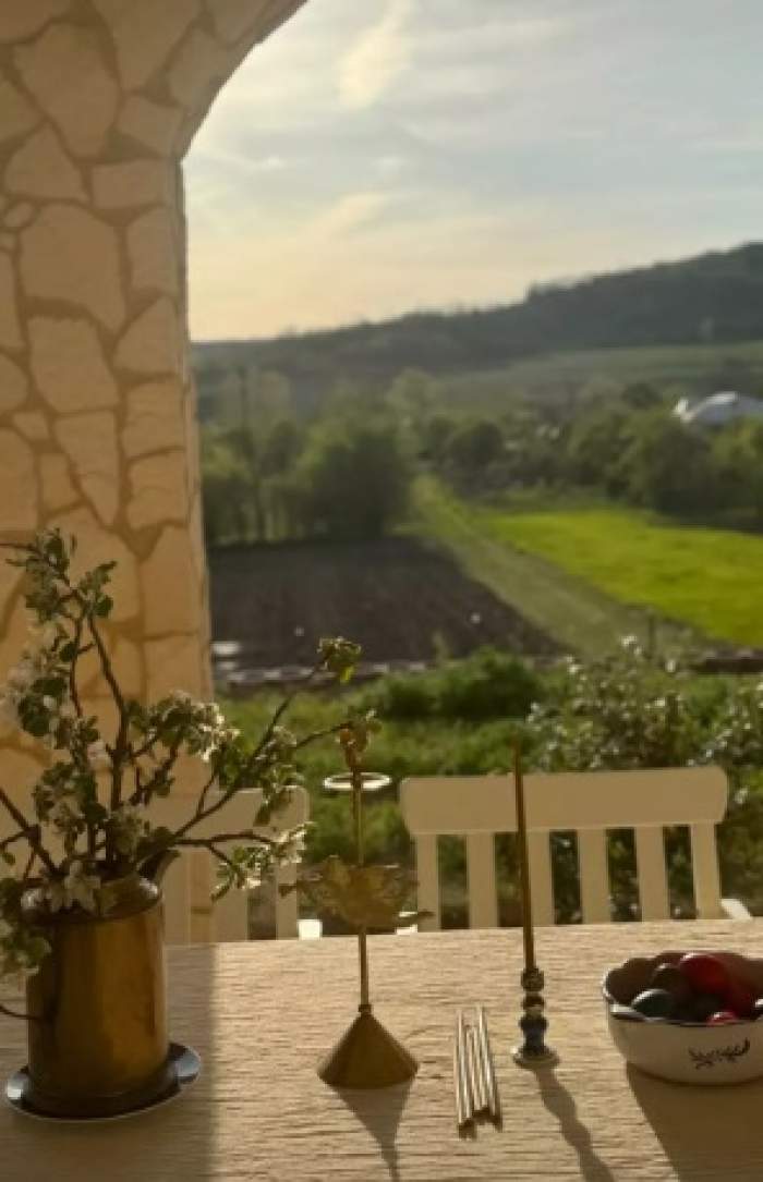 Cum arată casa Adelei și a lui Radu Vâlcan de la Șușani, din afară! Prezentatorul de la Insula Iubirii adoră să petreacă timpul acolo