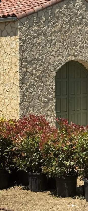 Cum arată casa Adelei și a lui Radu Vâlcan de la Șușani, din afară! Prezentatorul de la Insula Iubirii adoră să petreacă timpul acolo