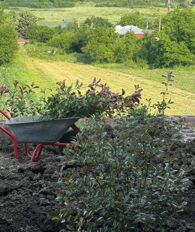 Cum arată casa Adelei și a lui Radu Vâlcan de la Șușani, din afară! Prezentatorul de la Insula Iubirii adoră să petreacă timpul acolo