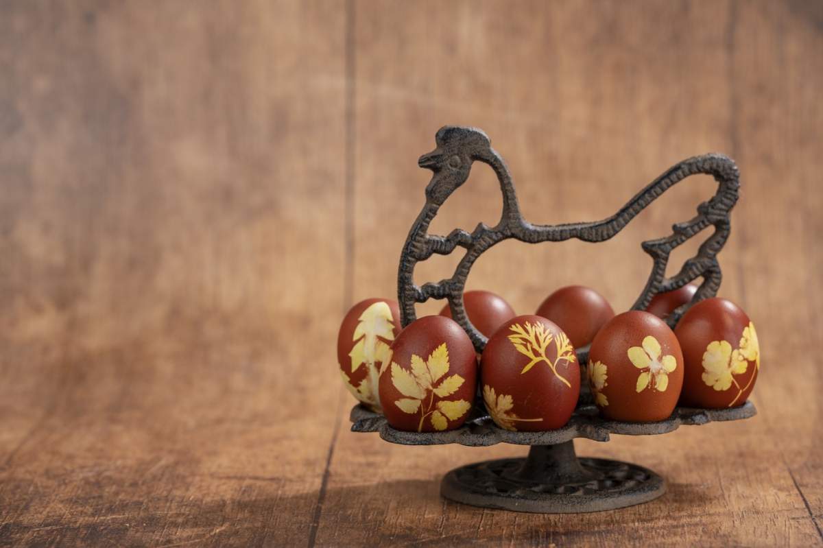 Natural și sustenabil, cu coji de ceapă, ouă de Paște colorate într-un suport metalic simbolizat, fotografie de studio, Genthin, Saxonia Anhalt
