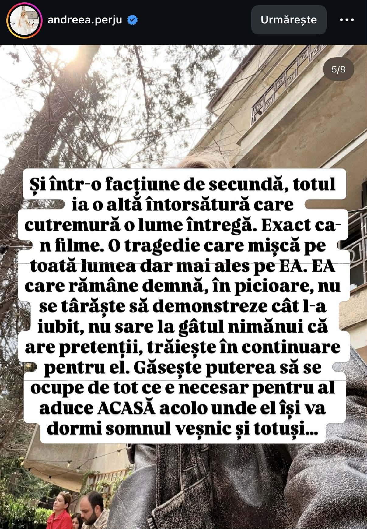 Andreea Perju, despre umilințele îndurate de Mihaela Rădulescu! Cum comentează reacțiile familiei lui Felix Baumgartner