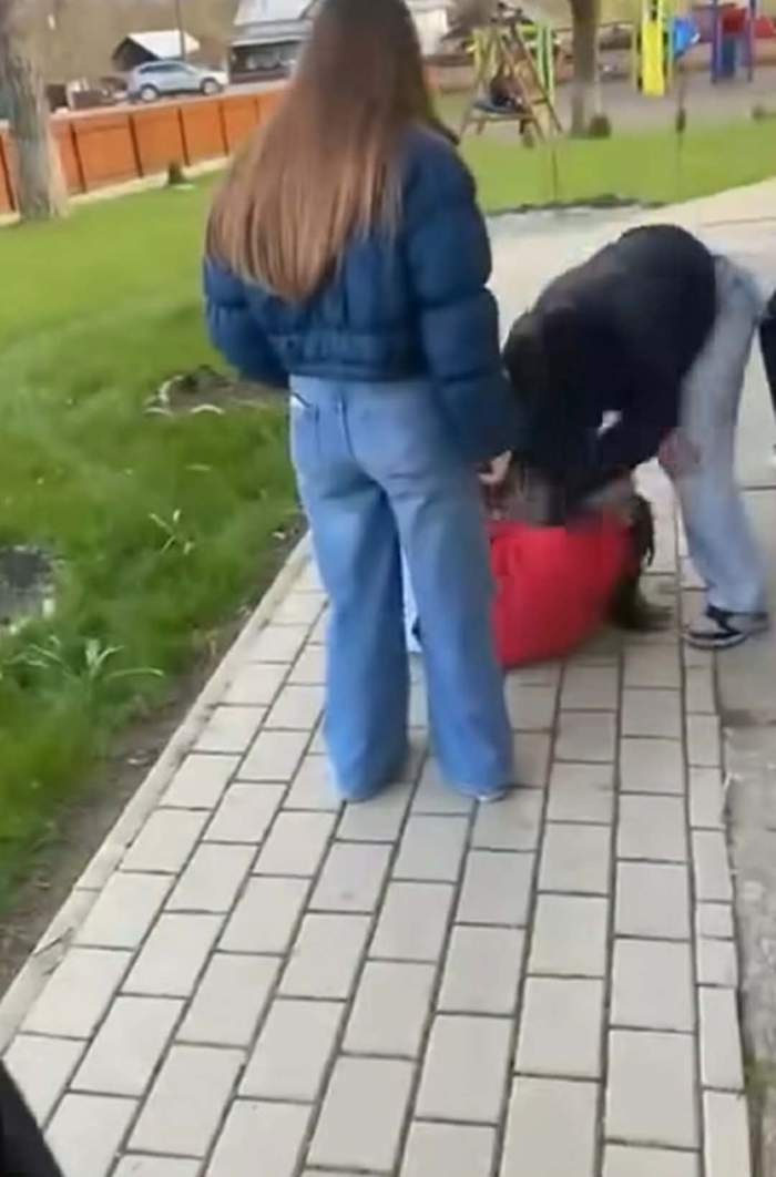 bătaie în Zămostea